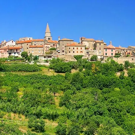 Castelvenere בוג'ה